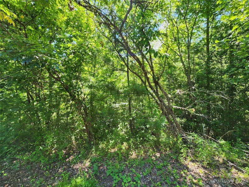 Property image 3 at 9999 Moonshiners Trail, Marshall, NC 28753