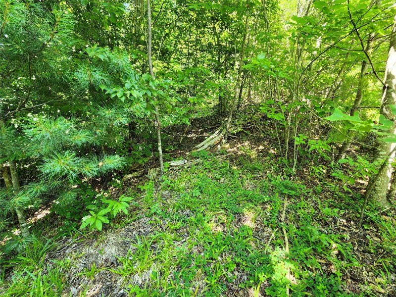 Property image 5 at 9999 Moonshiners Trail, Marshall, NC 28753