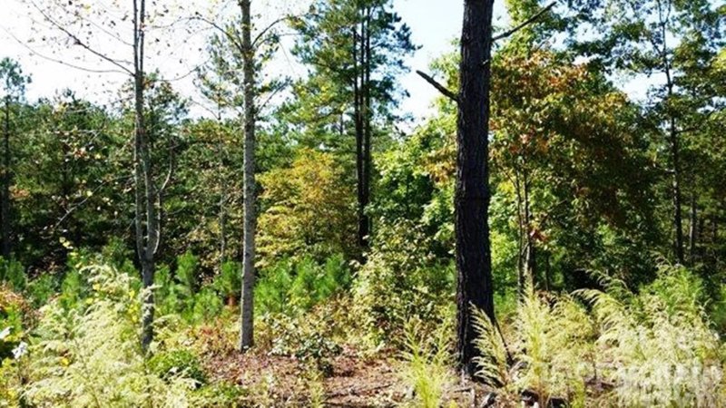 Property image 2 at 3187 Panoramic Vista Court, Connelly Springs, NC 28612