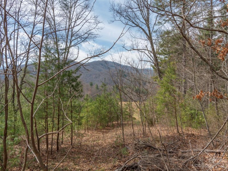 Property image 4 at Lot 5 Dream Valley Drive, Clyde, NC 28721