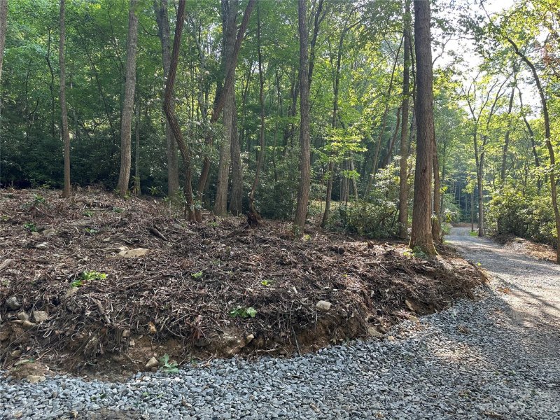 Property image 3 at 116 Independence Boulevard, Asheville, NC 28805