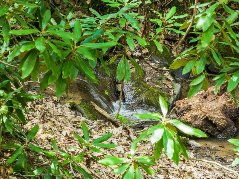 Property image 4 at 116 Independence Boulevard, Asheville, NC 28805