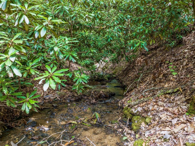 Property image 5 at 116 Independence Boulevard, Asheville, NC 28805