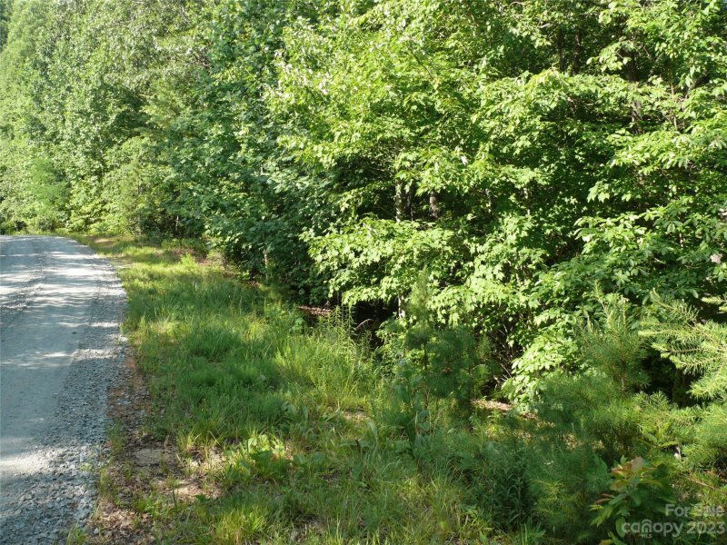 Property image 3 at Lot 301 Whippoorwill Drive, Lake Lure, NC 28746