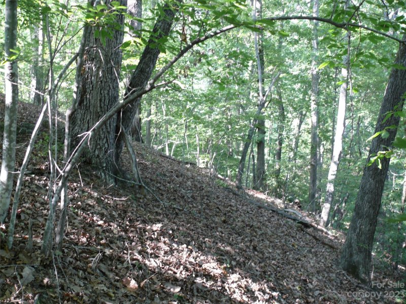 Property image 4 at Lot 301 Whippoorwill Drive, Lake Lure, NC 28746