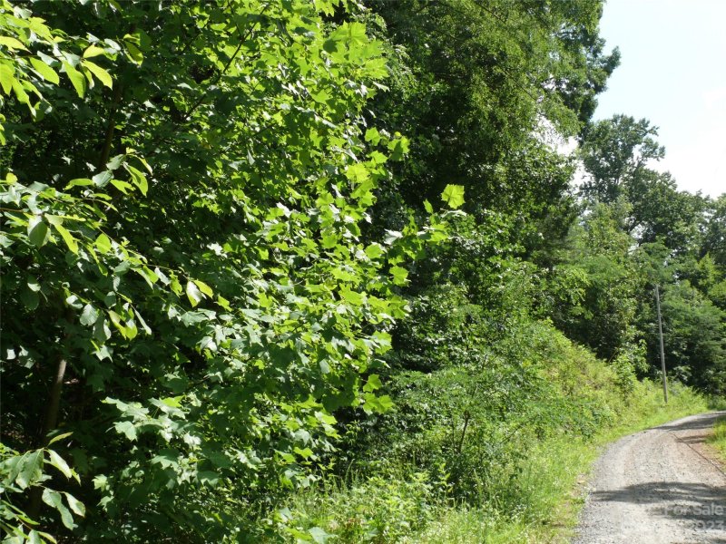 Property image 2 at Lot 426 Roberts Trail, Lake Lure, NC 28746