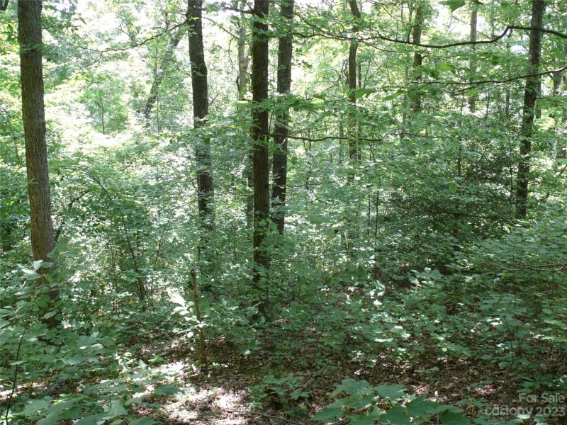 Property image 3 at Lot 426 Roberts Trail, Lake Lure, NC 28746