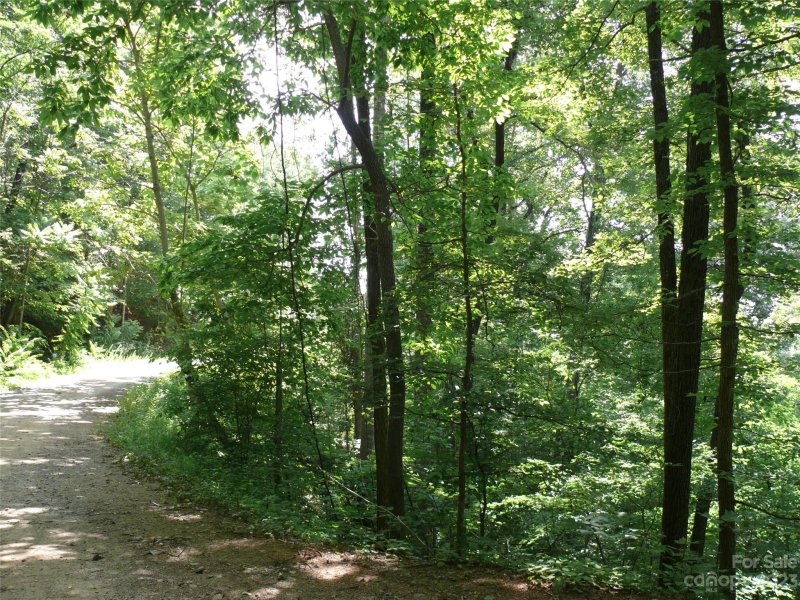 Property image 4 at Lot 426 Roberts Trail, Lake Lure, NC 28746