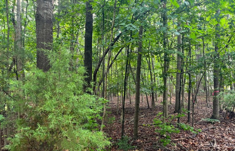 Property image 3 at 00 Rockwood Drive, Waxhaw, NC 28173