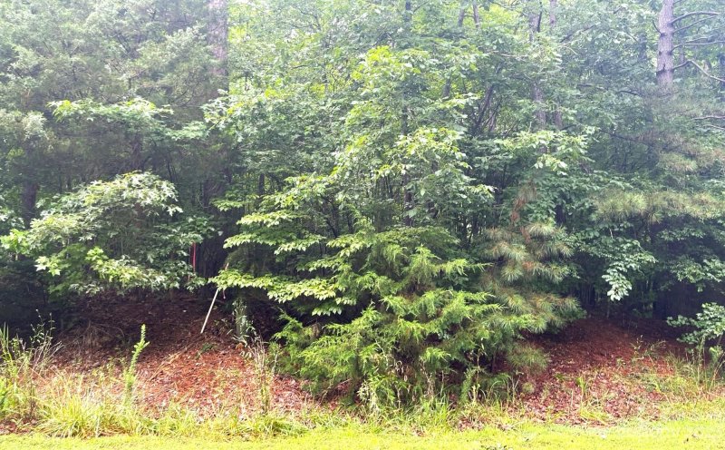 Property image 5 at 00 Rockwood Drive, Waxhaw, NC 28173