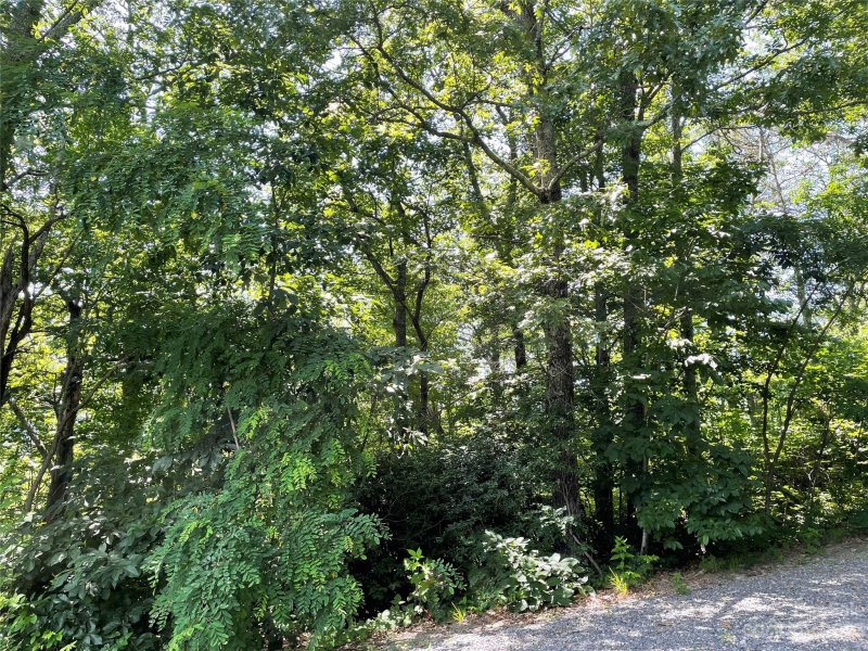 Property image 5 at 144 Songbird Court, Hendersonville, NC 28792