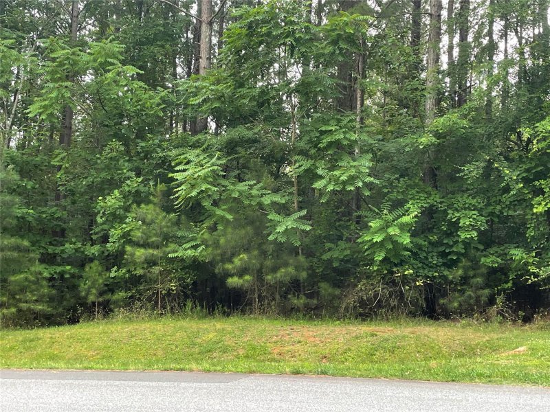 Property image 2 at 154 Emerald Creek Drive, Troutman, NC 28166