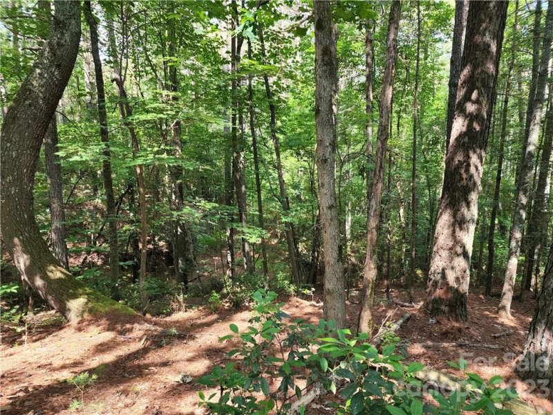 Property image 2 at 114 Rivercliff Drive, Connelly Springs, NC 28612