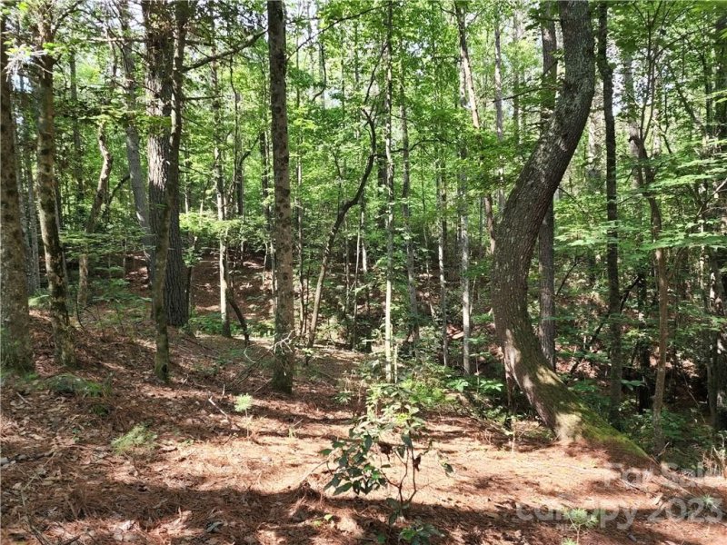 Property image 5 at 114 Rivercliff Drive, Connelly Springs, NC 28612