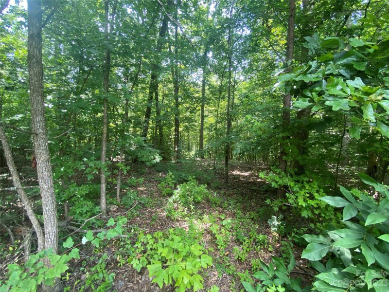 Property image 4 at 294 Bluegill Lane, Statesville, NC 28625