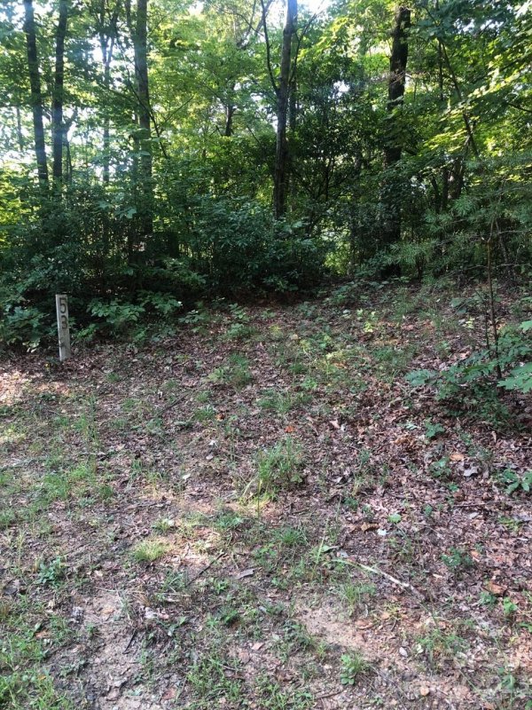 Property image 2 at 0 Winesap Boulevard, Lake Lure, NC 28746