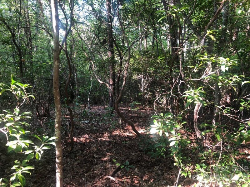 Property image 4 at 0 Winesap Boulevard, Lake Lure, NC 28746