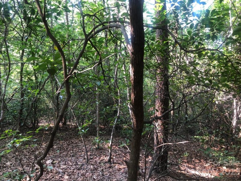 Property image 5 at 0 Winesap Boulevard, Lake Lure, NC 28746