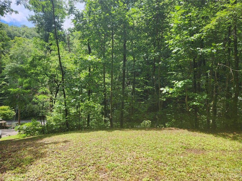 Property image 3 at 9 Red Leafe Trail, Sylva, NC 28779