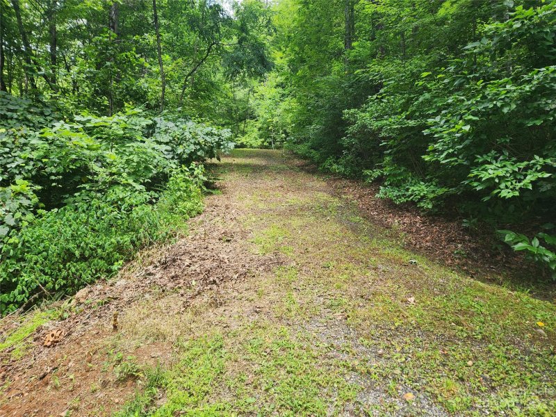 Property image 5 at 9 Red Leafe Trail, Sylva, NC 28779