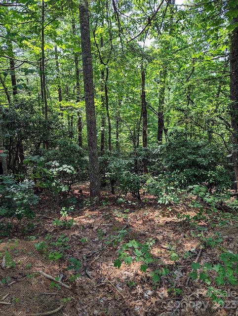 Property image 2 at Tbd Erwin Hill Drive, Etowah, NC 28729