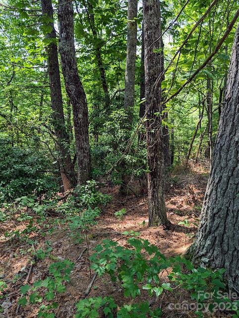 Property image 3 at Tbd Erwin Hill Drive, Etowah, NC 28729