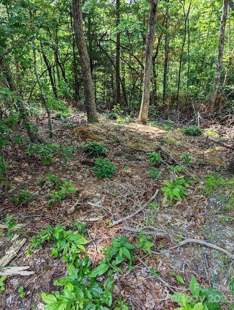 Property image 4 at Tbd Erwin Hill Drive, Etowah, NC 28729