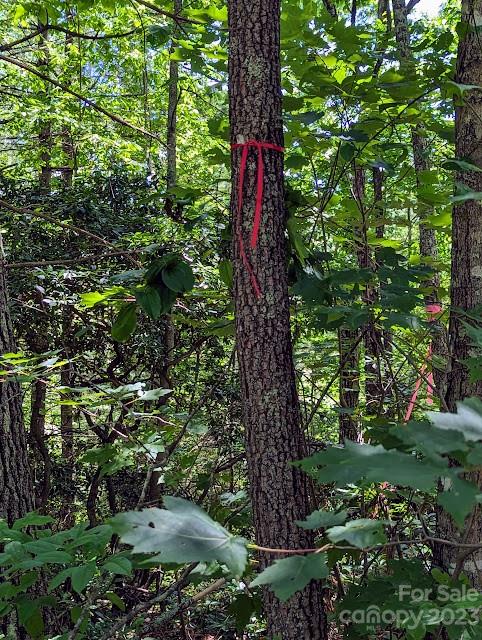 Property image 5 at Tbd Erwin Hill Drive, Etowah, NC 28729