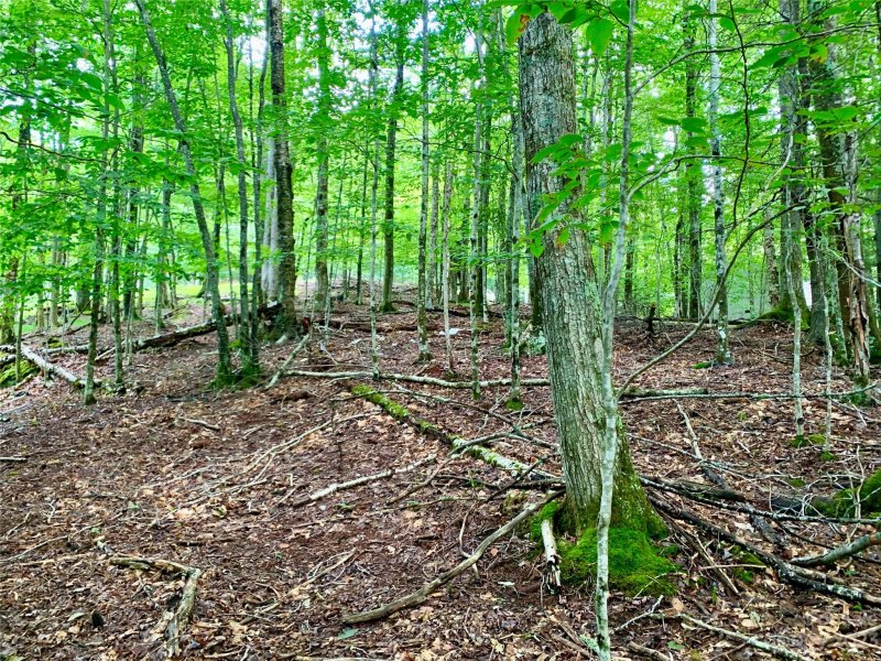 Property image 2 at 109 Greenbriar Road, Beech Mountain, NC 28604