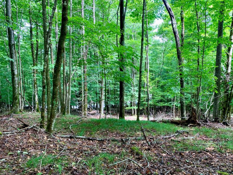 Property image 3 at 109 Greenbriar Road, Beech Mountain, NC 28604