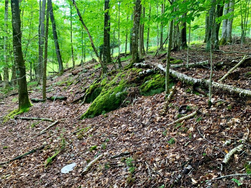 Property image 4 at 109 Greenbriar Road, Beech Mountain, NC 28604