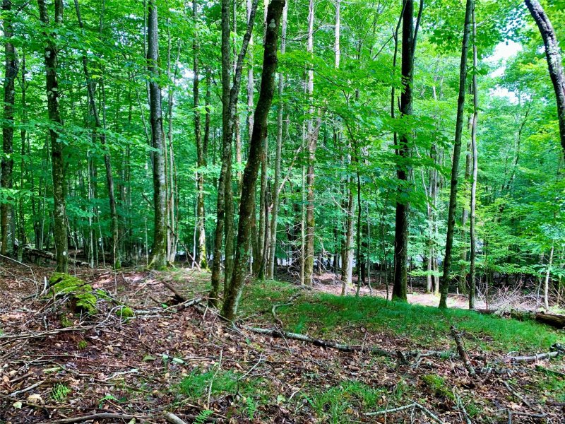 Property image 5 at 109 Greenbriar Road, Beech Mountain, NC 28604