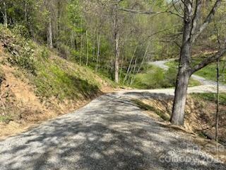 Property image 3 at 9 Junebug Trail, Waynesville, NC 28785