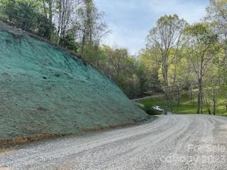 Property image 4 at 9 Junebug Trail, Waynesville, NC 28785