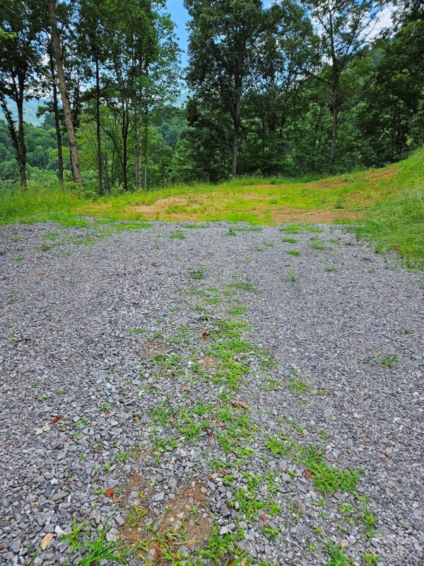 Property image 5 at 9 Junebug Trail, Waynesville, NC 28785