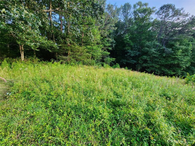 Property image 2 at Lot 8 Dream Valley Drive, Clyde, NC 28721