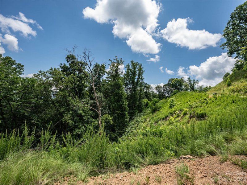 Property image 2 at 99999 Summit View Drive, Candler, NC 28715