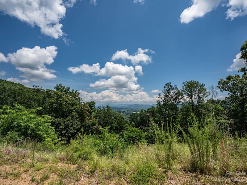 Property image 3 at 99999 Summit View Drive, Candler, NC 28715