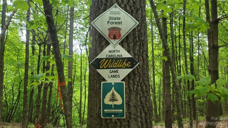 Property image 2 at 135 Mad Bear Trail, Rosman, NC 28772