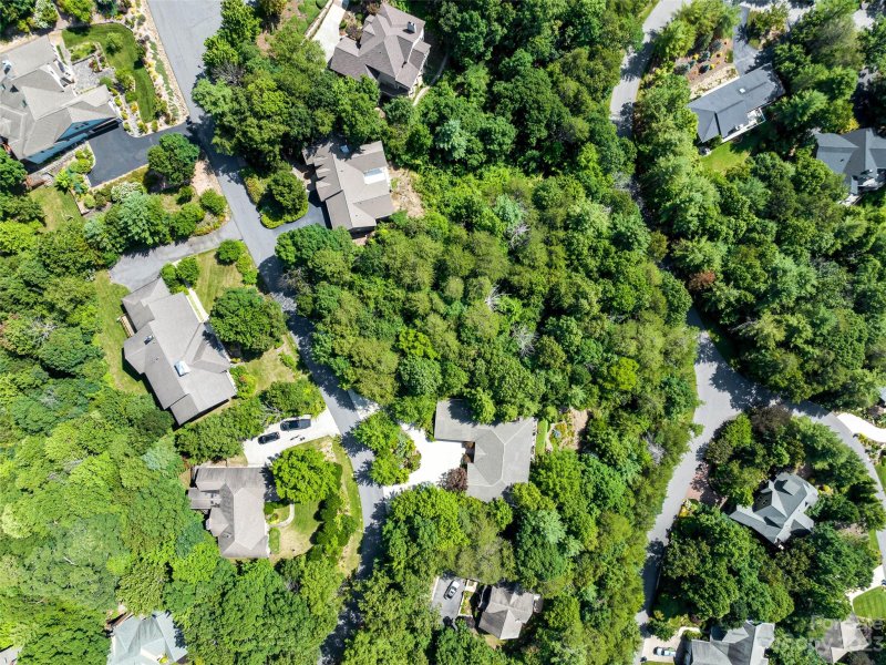 Property image 3 at 23 High Bluff Drive, Weaverville, NC 28787