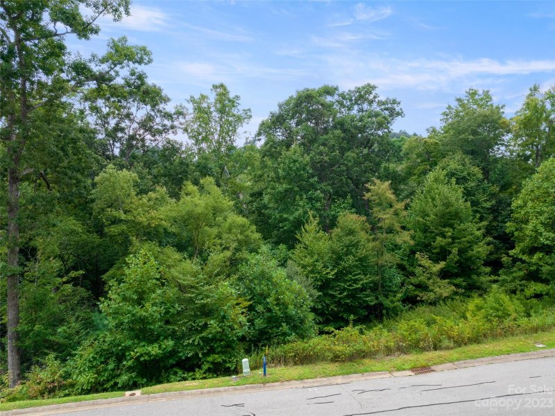 Property image 2 of 50 Barnsdale Lane in Carriage Park, Hendersonville, NC 28729