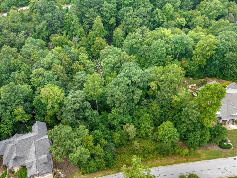 Property image 3 of 50 Barnsdale Lane in Carriage Park, Hendersonville, NC 28729