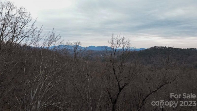 Property image 3 at 0 Peartree Drive, Lake Lure, NC 28746