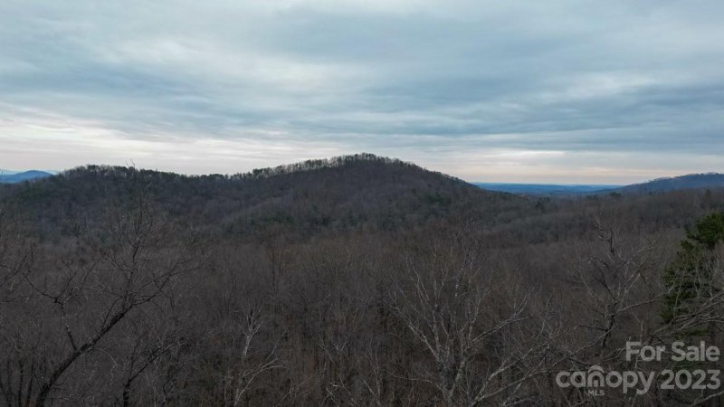 Property image 4 at 0 Peartree Drive, Lake Lure, NC 28746