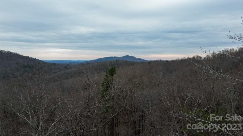 Property image 5 at 0 Peartree Drive, Lake Lure, NC 28746