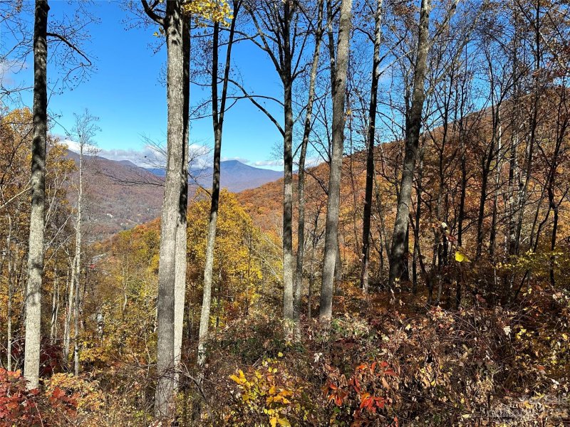 Property image 2 at 1332 Daydream Ridge, Swannanoa, NC 28778