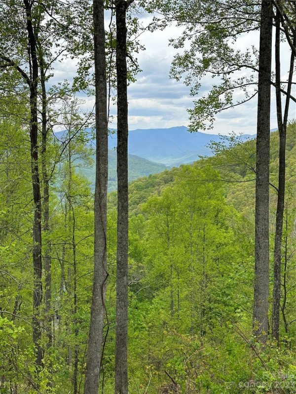 Property image 3 at 1332 Daydream Ridge, Swannanoa, NC 28778