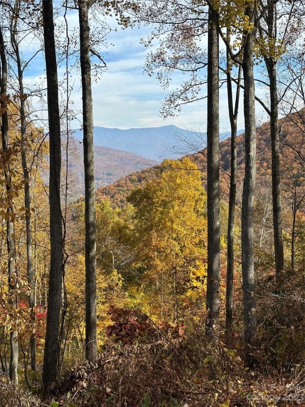 Property image 4 at 1332 Daydream Ridge, Swannanoa, NC 28778