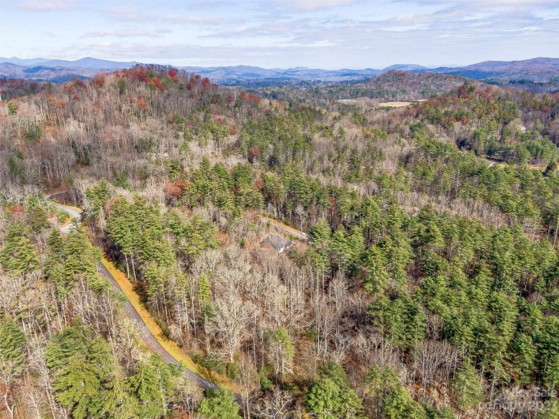 Property image 4 at 53r High Hemlock Trail, Brevard, NC 28712