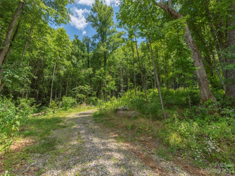 Property image 4 at 89 Cisco Cove, Waynesville, NC 28785